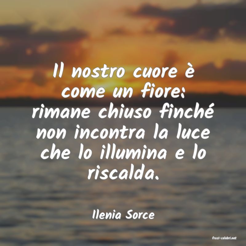 frasi di  Ilenia Sorce
