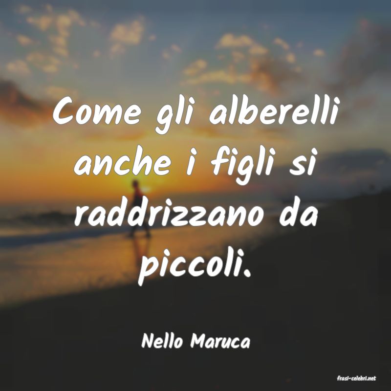 frasi di  Nello Maruca
