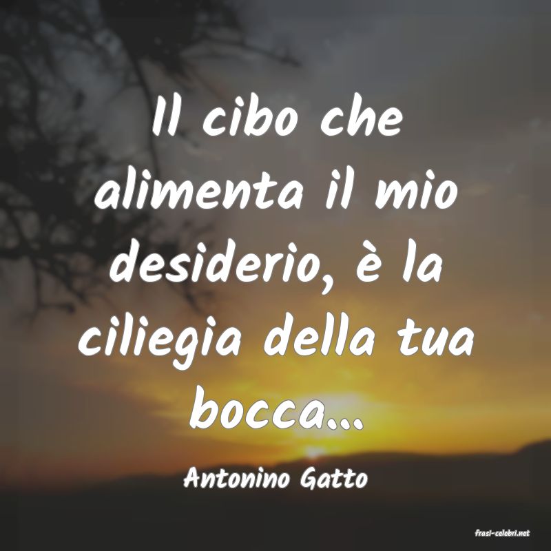 frasi di  Antonino Gatto
