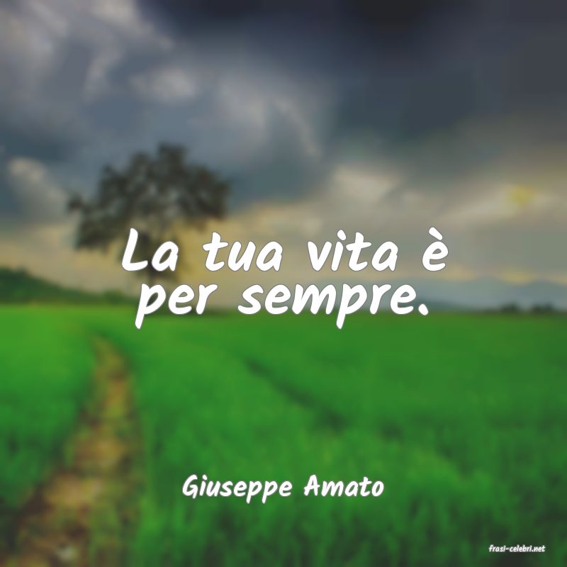 frasi di  Giuseppe Amato
