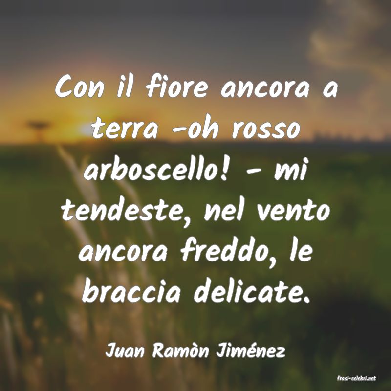 frasi di Juan Ramn Jimnez