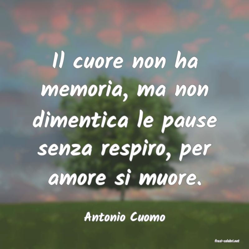 frasi di  Antonio Cuomo
