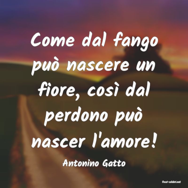 frasi di  Antonino Gatto

