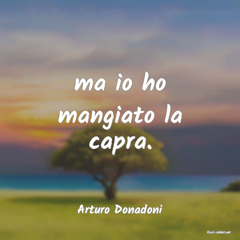 frasi di  Arturo Donadoni
