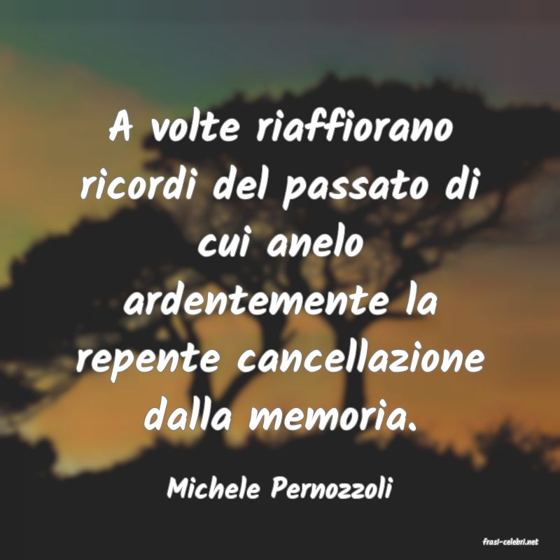 frasi di  Michele Pernozzoli
