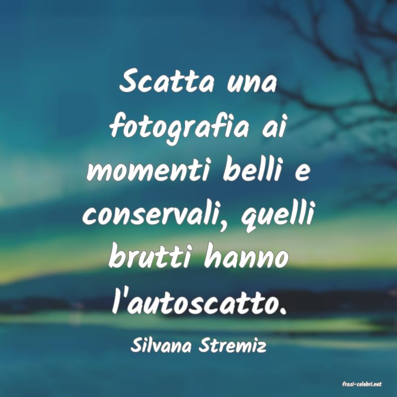 frasi di  Silvana Stremiz
