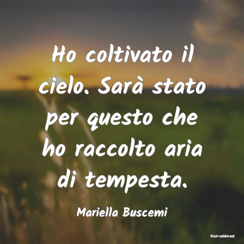 frasi di  Mariella Buscemi
