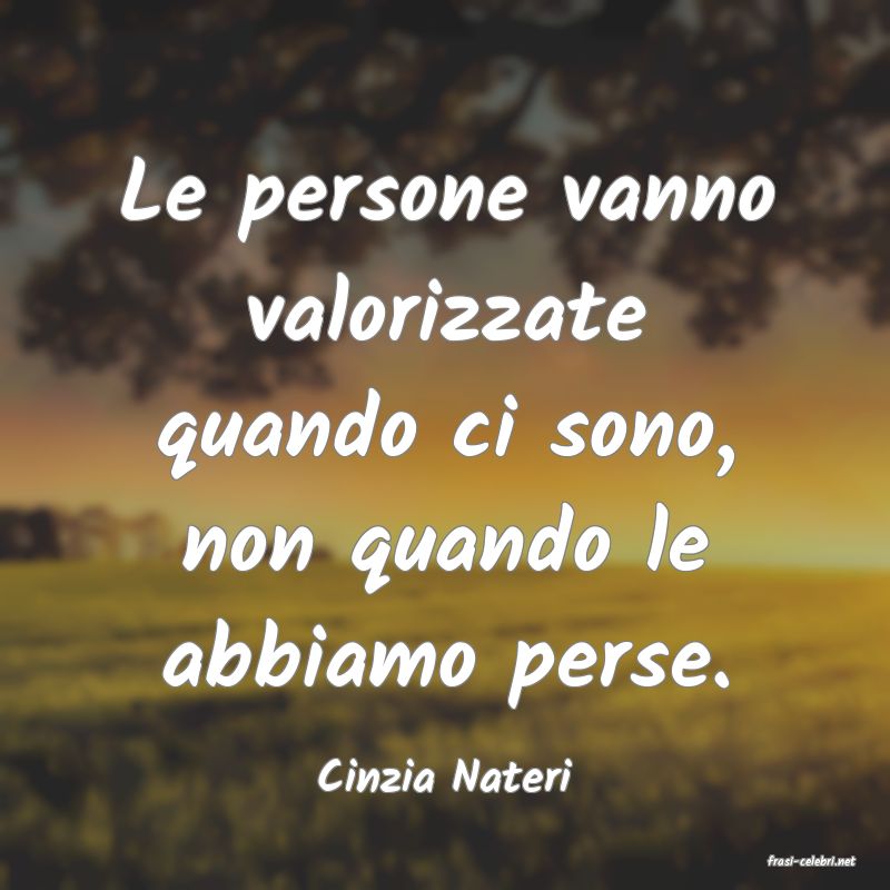 frasi di  Cinzia Nateri
