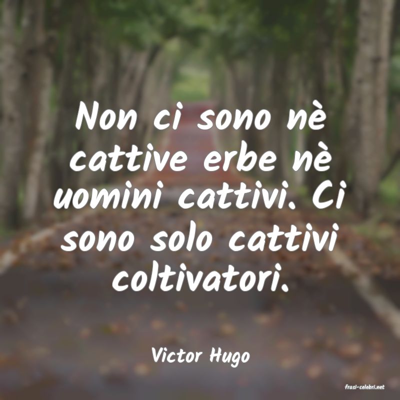 frasi di Victor Hugo