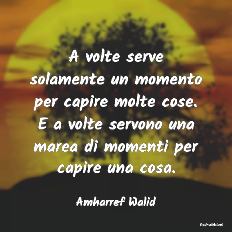 frasi di  Amharref Walid
