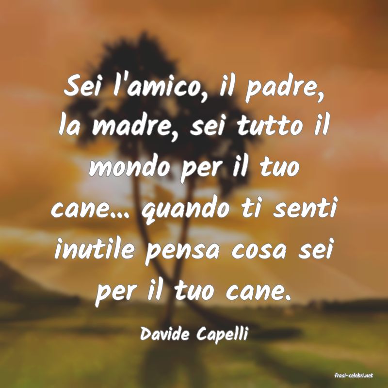 frasi di  Davide Capelli
