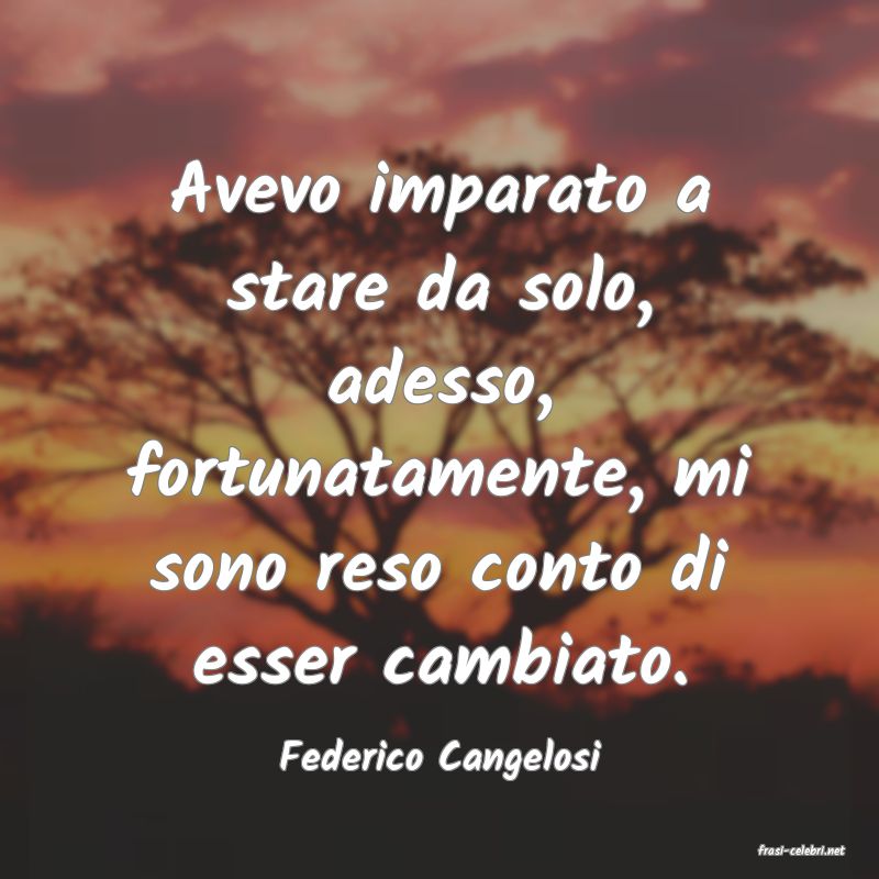 frasi di  Federico Cangelosi
