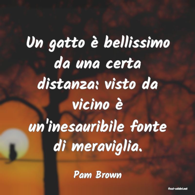frasi di Pam Brown