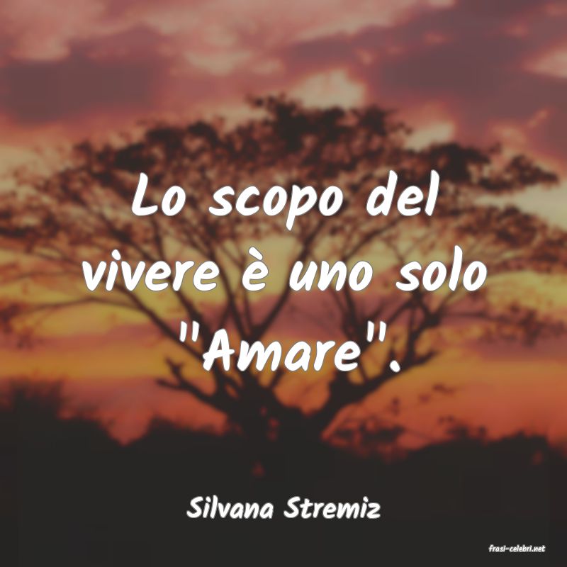 frasi di Silvana Stremiz