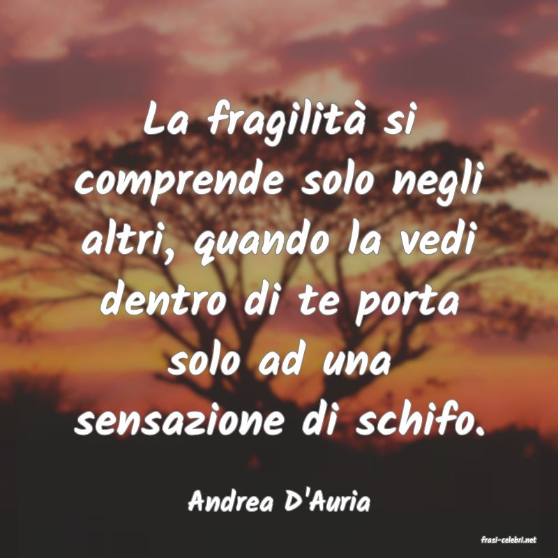 frasi di Andrea D'Auria