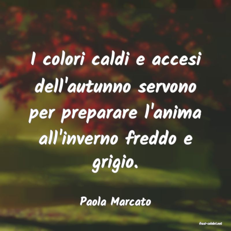 frasi di  Paola Marcato
