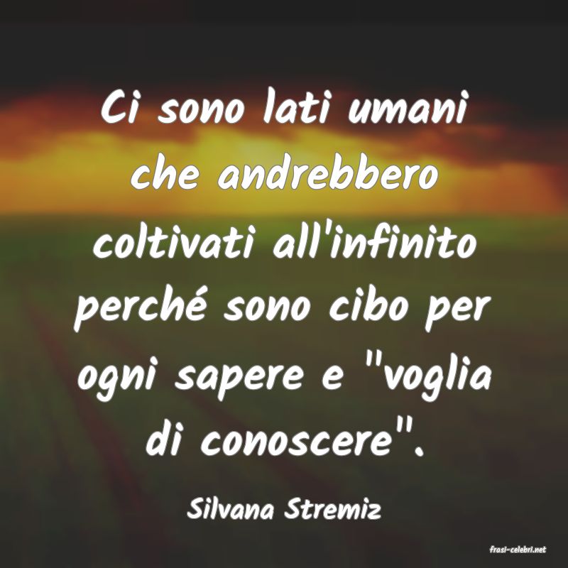 frasi di Silvana Stremiz