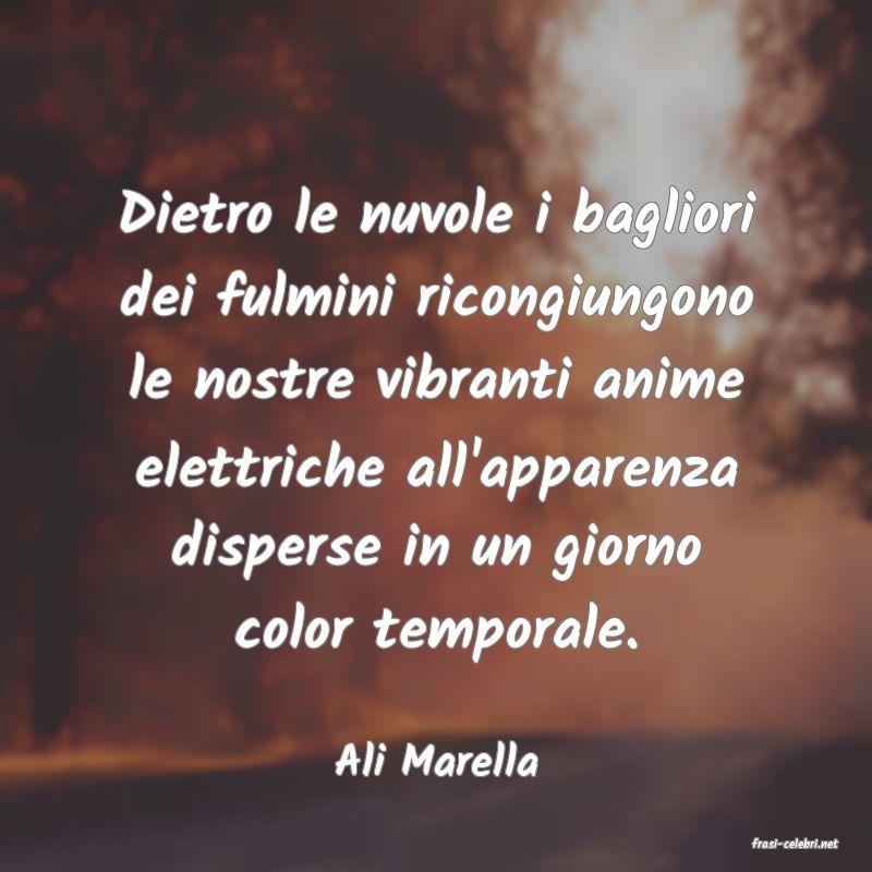 frasi di  Ali Marella
