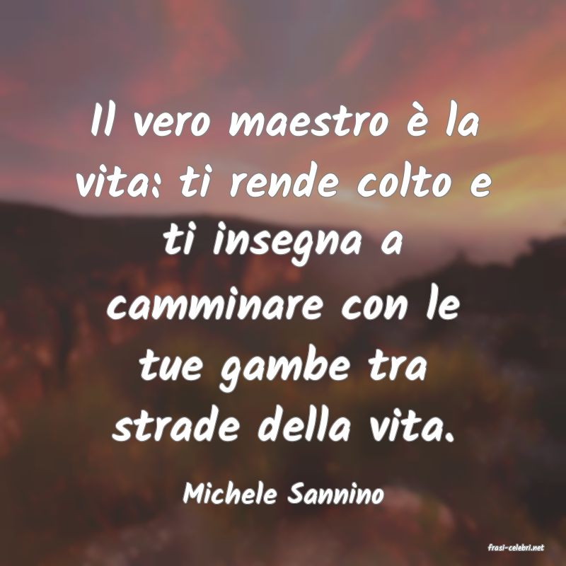 frasi di  Michele Sannino
