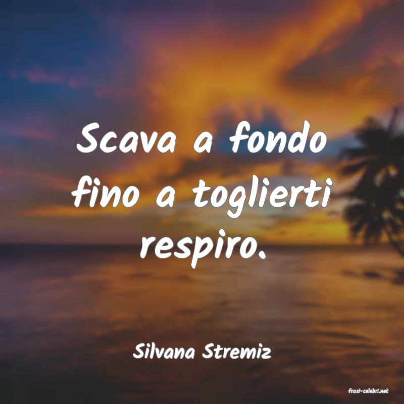 frasi di  Silvana Stremiz
