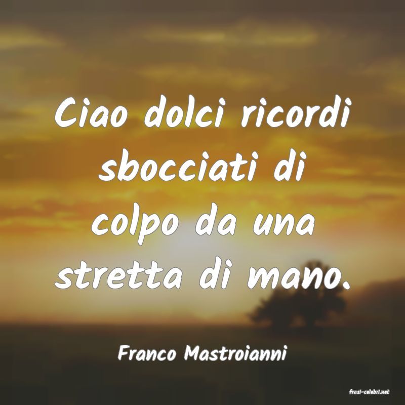 frasi di  Franco Mastroianni
