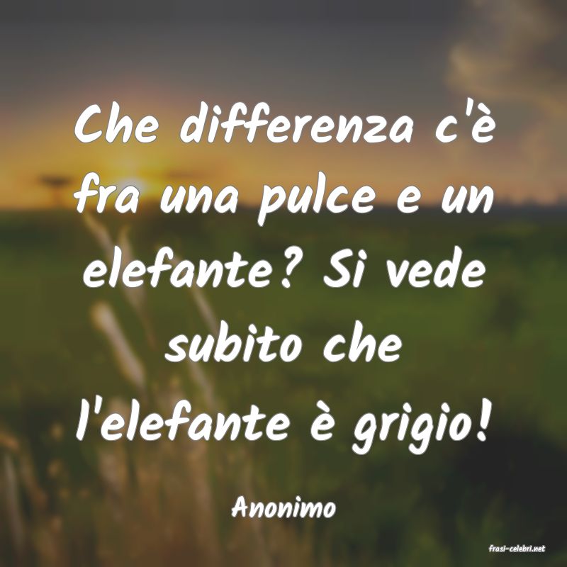 frasi di Anonimo