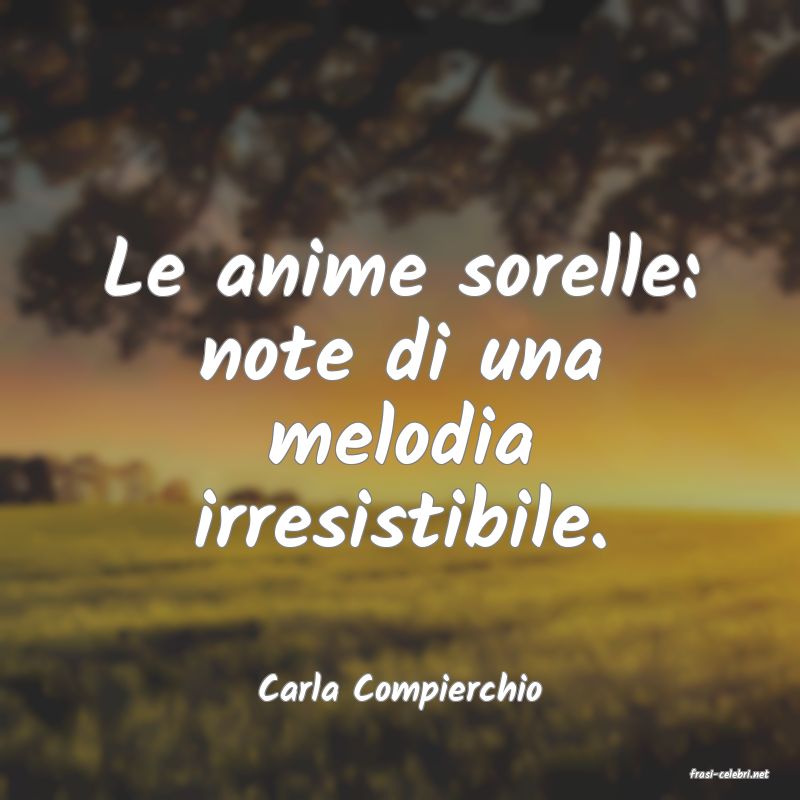 frasi di  Carla Compierchio
