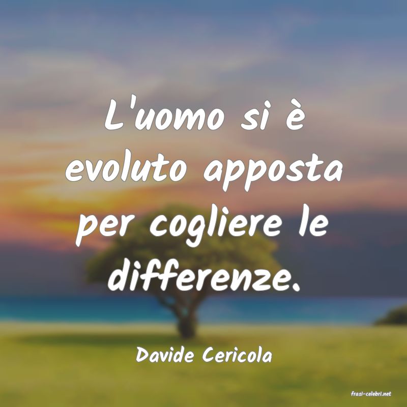frasi di  Davide Cericola
