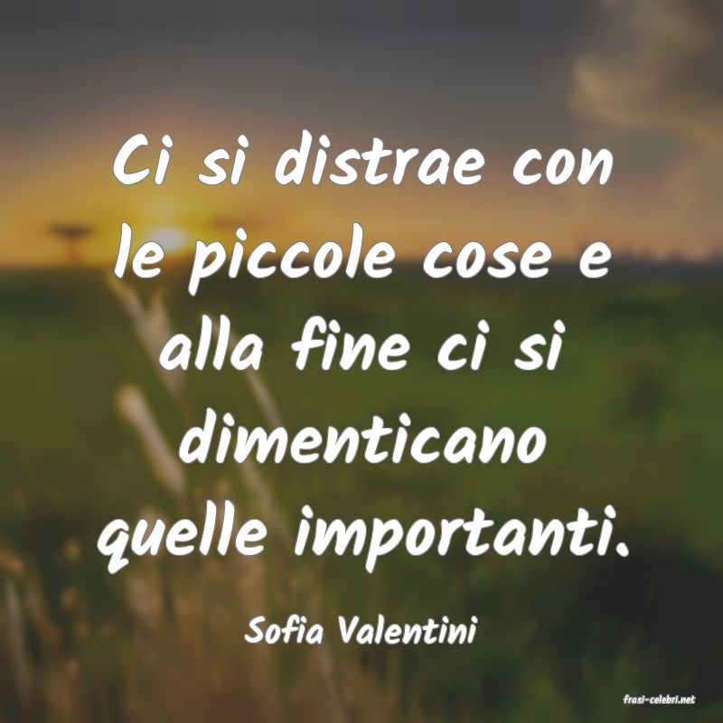 frasi di  Sofia Valentini
