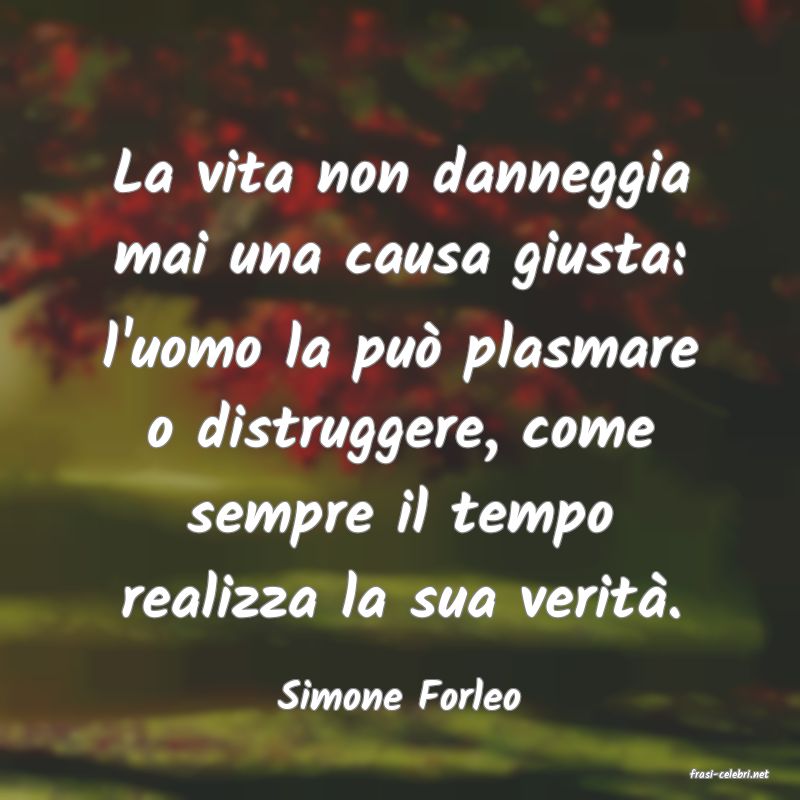 frasi di  Simone Forleo
