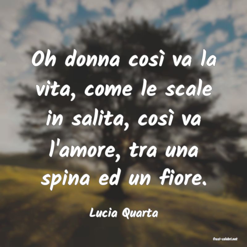 frasi di  Lucia Quarta
