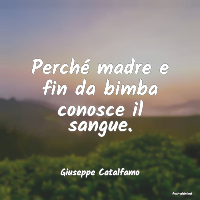 frasi di  Giuseppe Catalfamo
