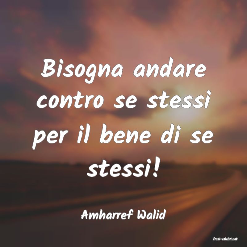 frasi di  Amharref Walid
