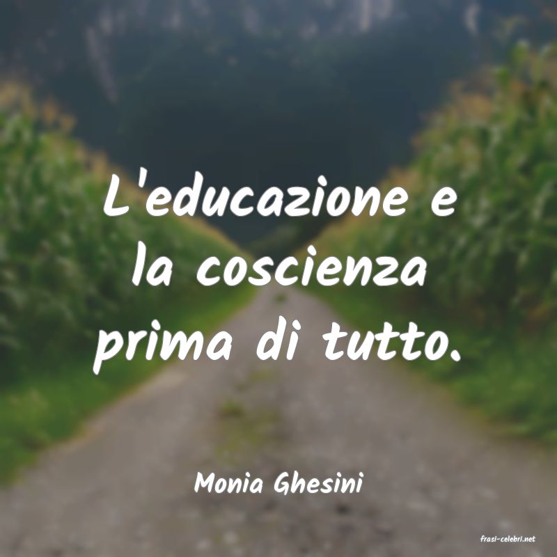 frasi di  Monia Ghesini
