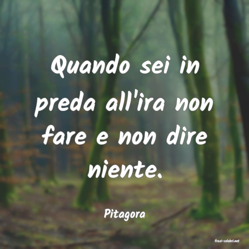 frasi di  Pitagora
