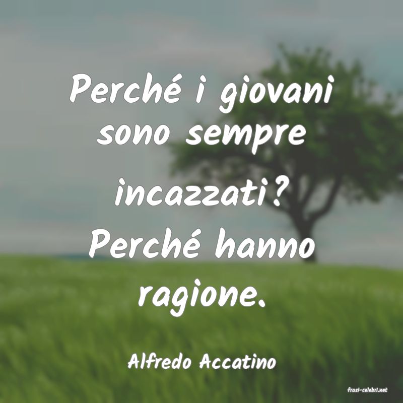 frasi di Alfredo Accatino