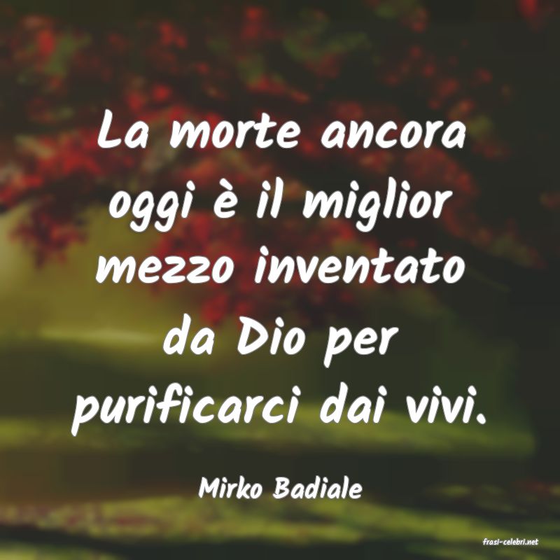 frasi di  Mirko Badiale

