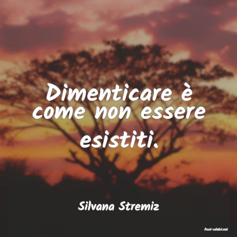 frasi di  Silvana Stremiz
