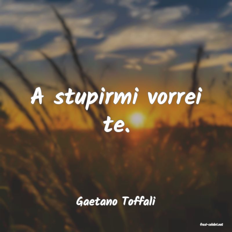 frasi di  Gaetano Toffali
