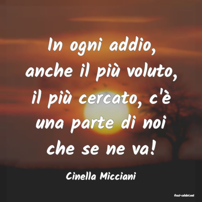 frasi di  Cinella Micciani
