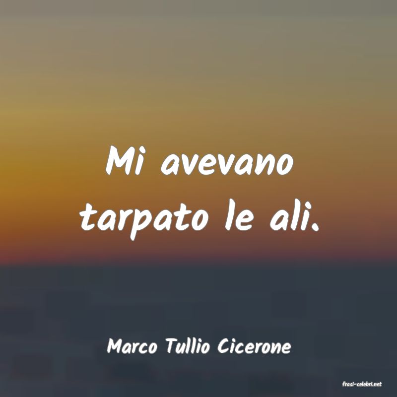 frasi di  Marco Tullio Cicerone
