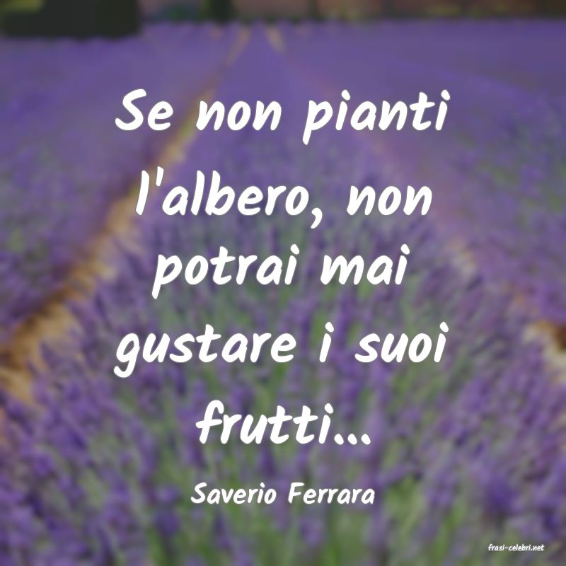 frasi di  Saverio Ferrara
