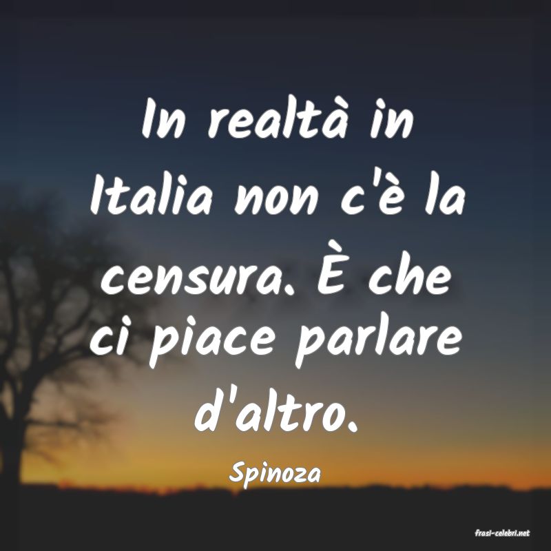 frasi di  Spinoza

