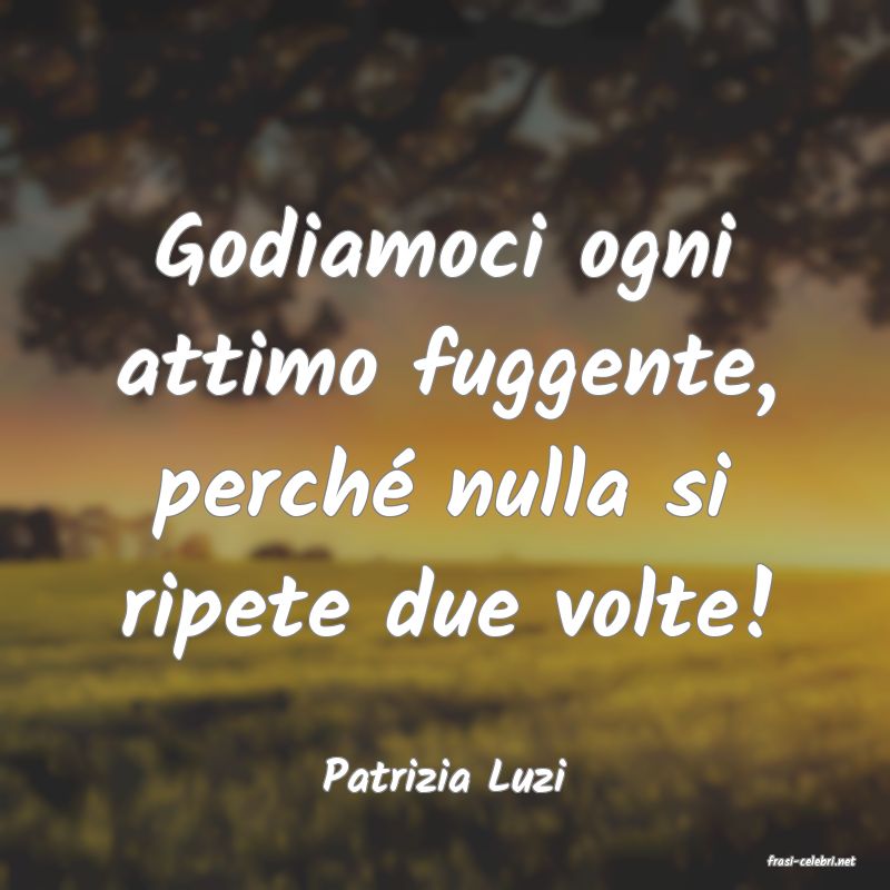frasi di  Patrizia Luzi
