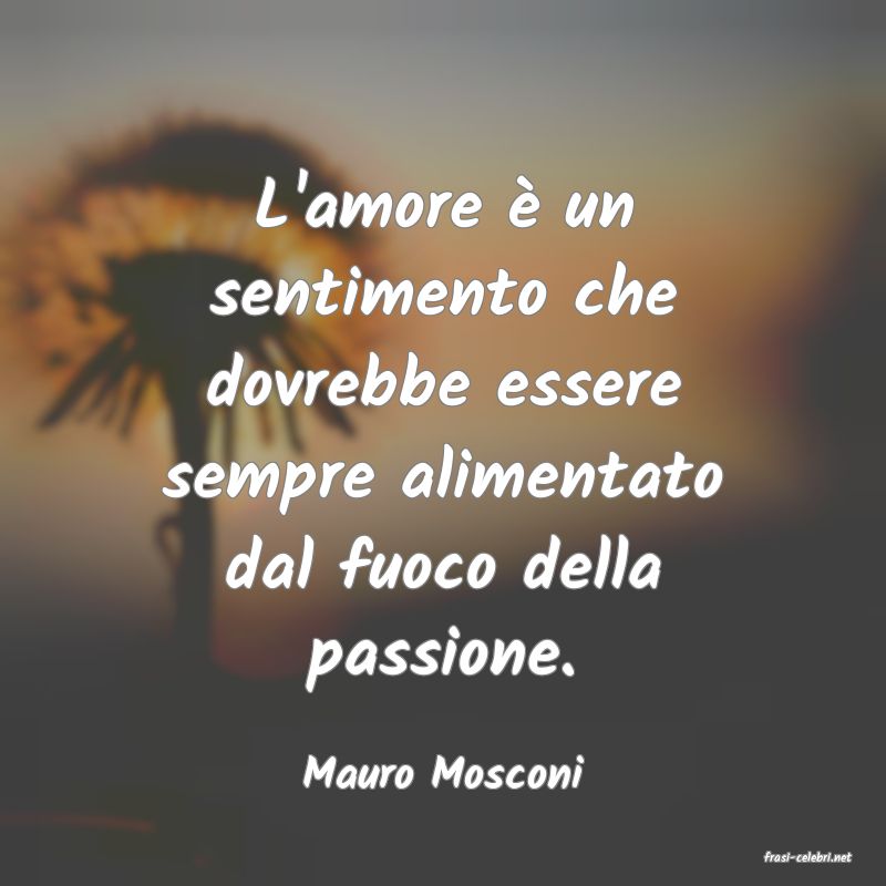 frasi di  Mauro Mosconi
