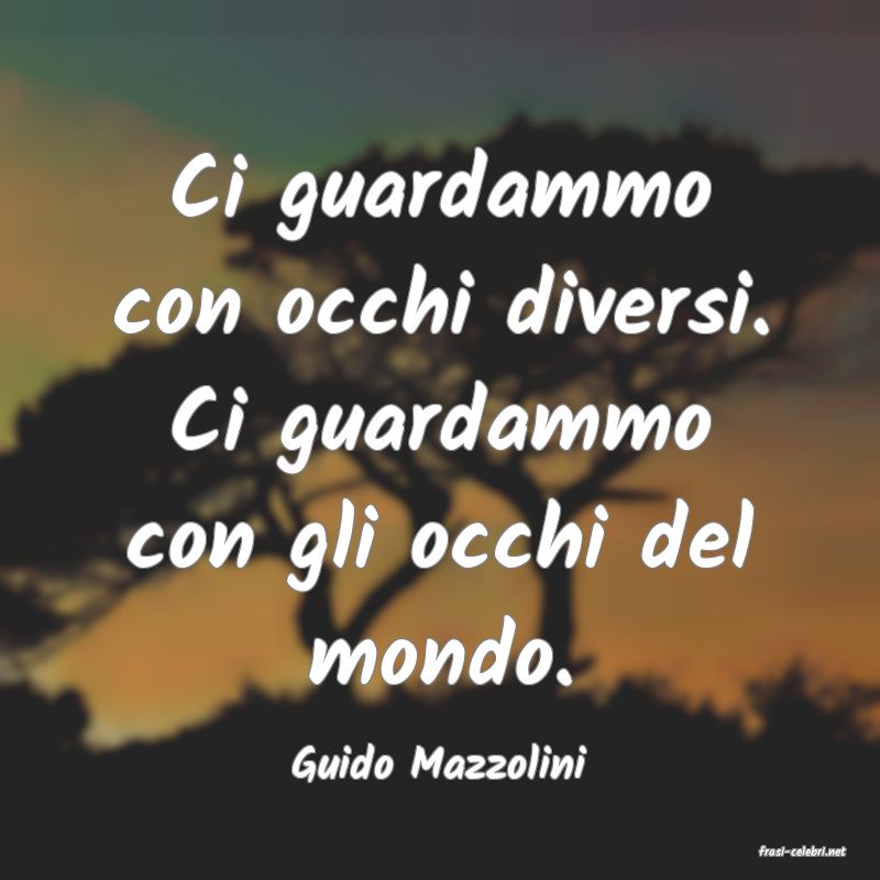 frasi di  Guido Mazzolini
