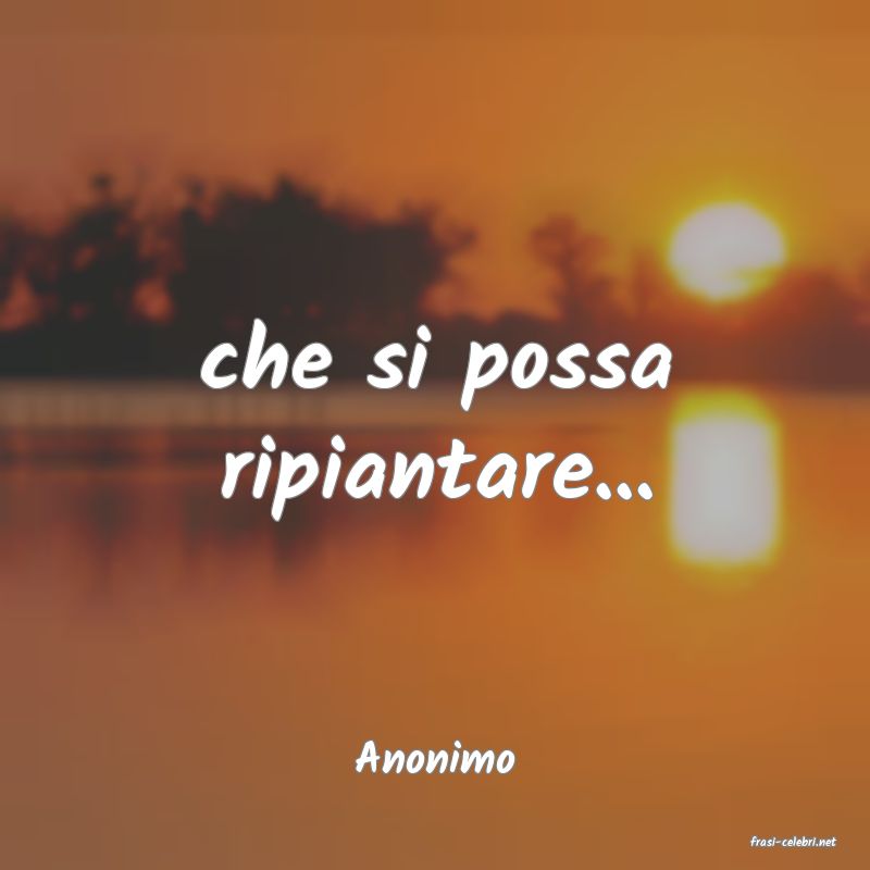 frasi di  Anonimo
