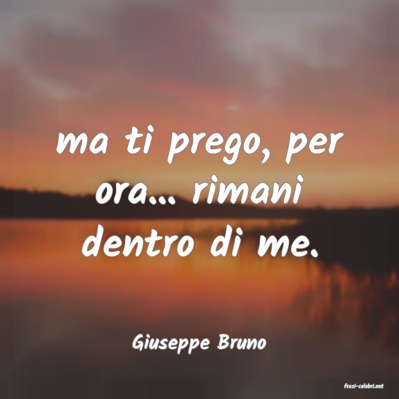 frasi di  Giuseppe Bruno

