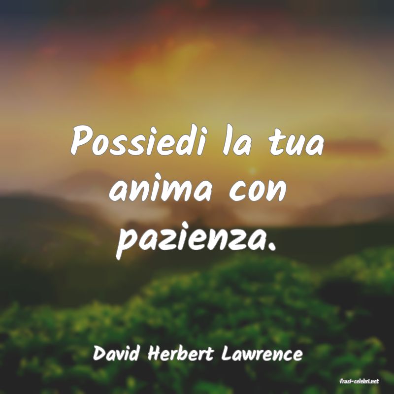 frasi di David Herbert Lawrence