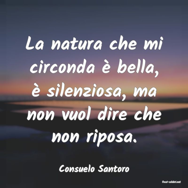 frasi di Consuelo Santoro
